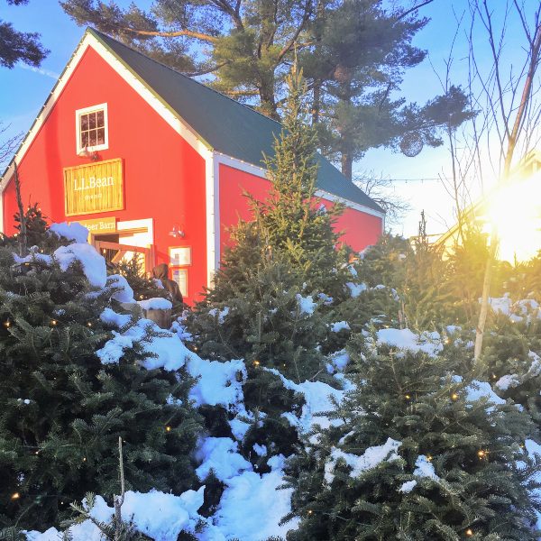 Things to Do in Freeport, Maine A Complete Guide Traveling with