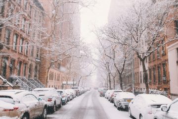 best time to go to new york city